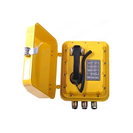 HWB系列防爆話站（IP網絡）